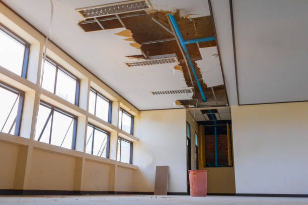 Reliable SC Water damage restoration Solutions