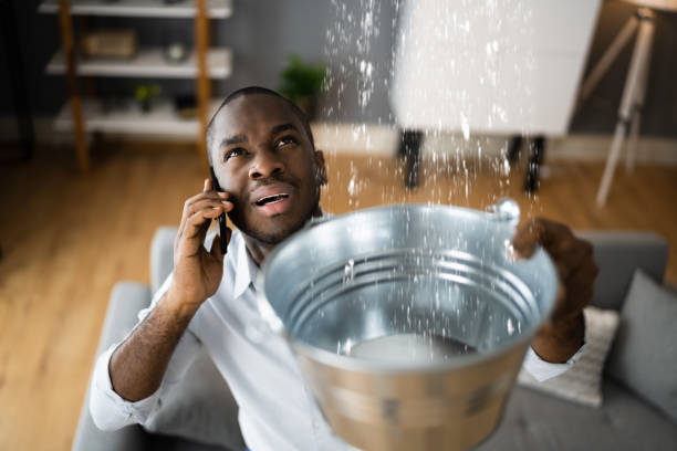Best Water damage mitigation services  in Cowpens, SC