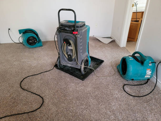 Best 24/7 water damage repair  in Cowpens, SC