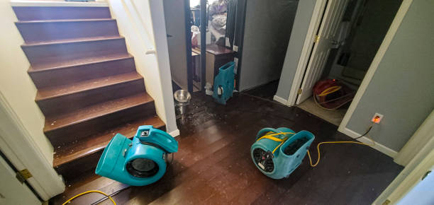 Best Flood damage cleanup  in Cowpens, SC