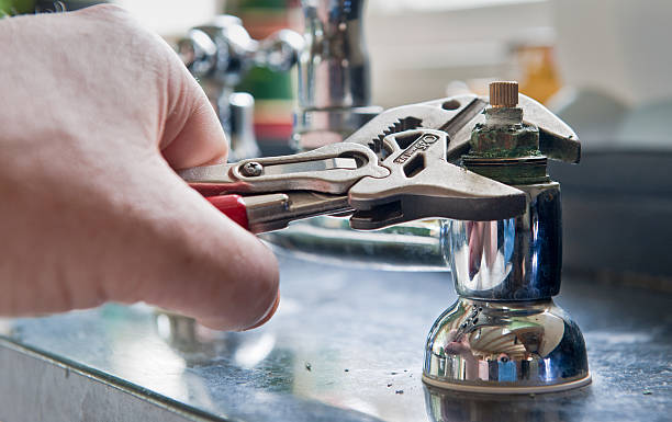 Best Water damage restoration mold remediation  in Cowpens, SC