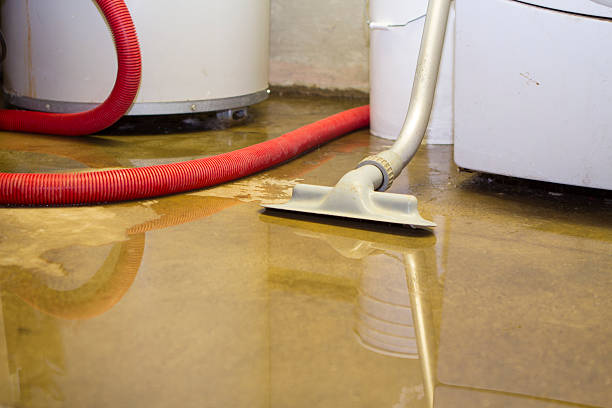 Best Fire Damage Restoration  in Cowpens, SC