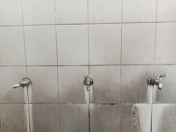 Best Carpet water damage restoration  in Cowpens, SC