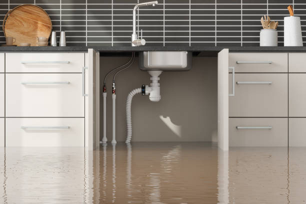 Best Water damage cleanup near me  in Cowpens, SC