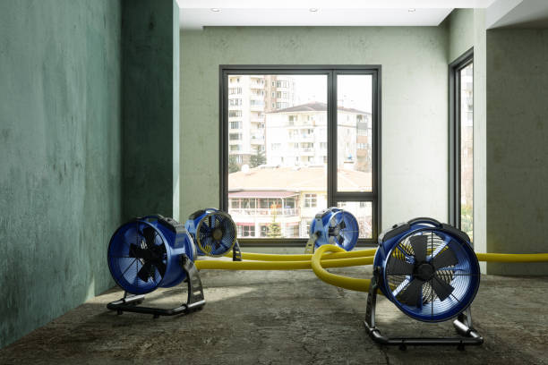 Best Ceiling water damage repair  in Cowpens, SC