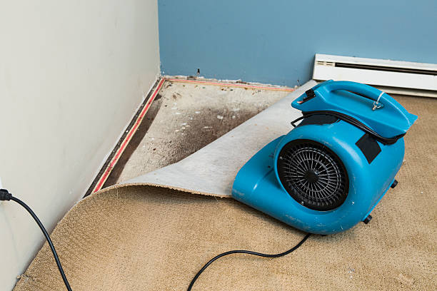 Best 24-hour water damage restoration  in Cowpens, SC